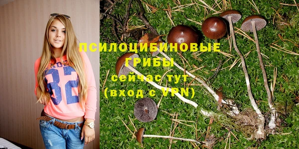 синтетический гашиш Россошь