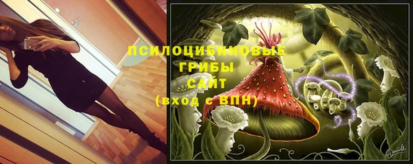 дурь Володарск