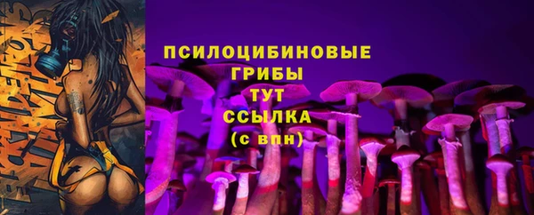 дурь Володарск