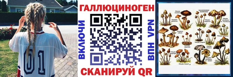 ОМГ ОМГ рабочий сайт  хочу   Сочи  Галлюциногенные грибы Psilocybine cubensis 